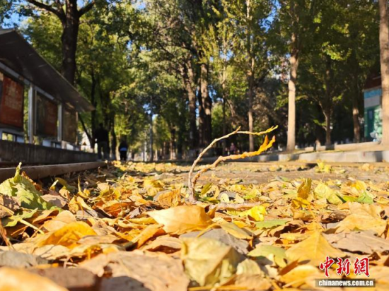 �S��54·��܉�܇�ؾ��h(hu��n)��������������߅�L(f��ng)ò������(j��)�����S���~䁝M·�������� ���z