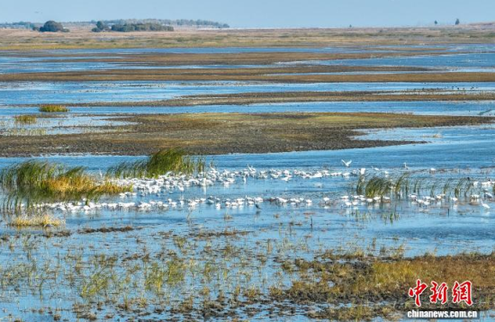 10��16�գ�����ĪĪ���(gu��)�Ҽ�(j��)��Ȼ���o(h��)�^(q��)��(n��i)�������ڑ�ˮ��(�o(w��)�˙C(j��)��Ƭ)�w��� �z