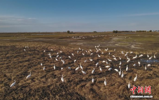 10��16�����ڼ���ĪĪ���(gu��)�Ҽ�(j��)��Ȼ���o(h��)�^(q��)��(n��i)���Q����Ϣ��(�o(w��)�˙C(j��)��Ƭ)�w��� �z