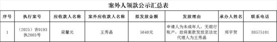 長春新區(qū)人民法院/供圖 長春新區(qū)人民法院/供圖