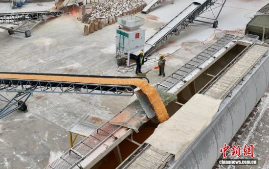 11��8�գ�ɢ�Z��������ԭ�Z�쌣�þ����b܇���I(y��)�������� �z