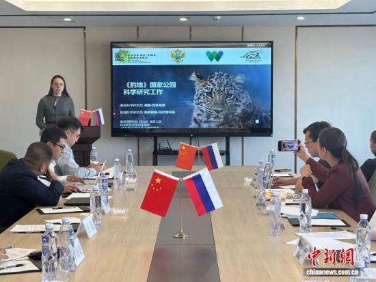 ���_˹���ҷ������o(h��)�|������(j��ng)��������� �z